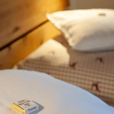 In Wildkogel Near Slopes Ferienhaus