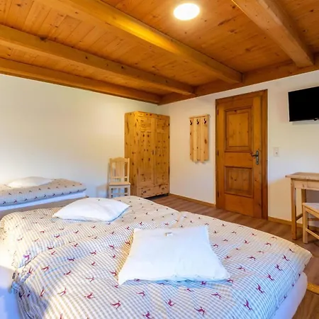 In Wildkogel Near Slopes 펜션 *