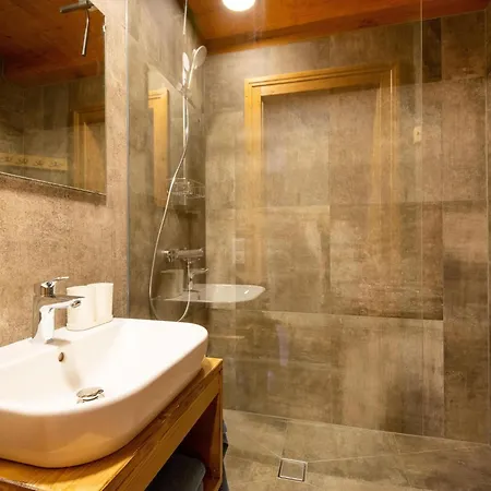 In Wildkogel Near Slopes