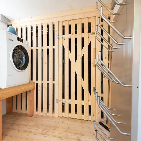 In Wildkogel Near Slopes Ferienhaus *