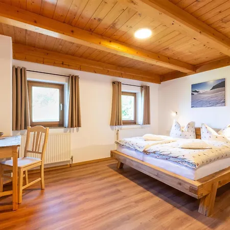 In Wildkogel Near Slopes *