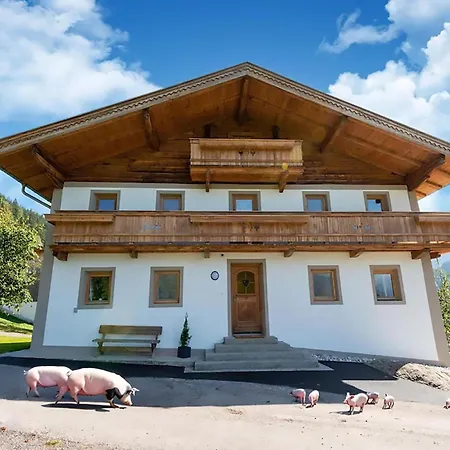 Ferienhaus In Wildkogel Near Slopes