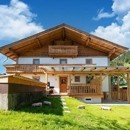 In Wildkogel Near Slopes * Dorf (Salzburg)