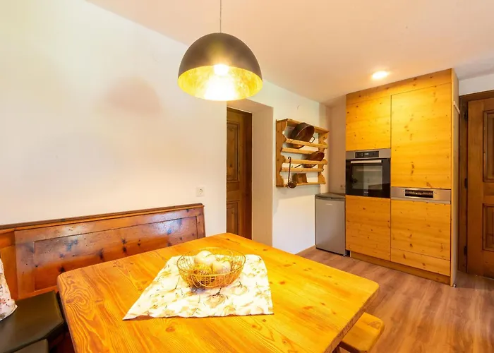 In Wildkogel Near Slopes *