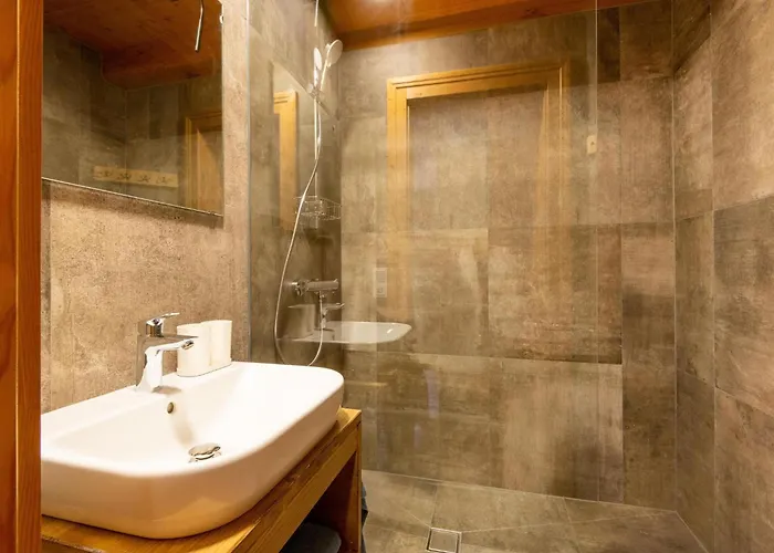 In Wildkogel Near Slopes