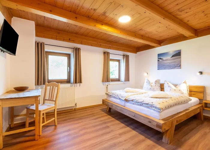 In Wildkogel Near Slopes *