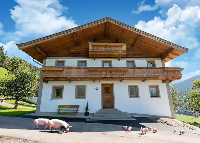 Casa vacanze In Wildkogel Near Slopes