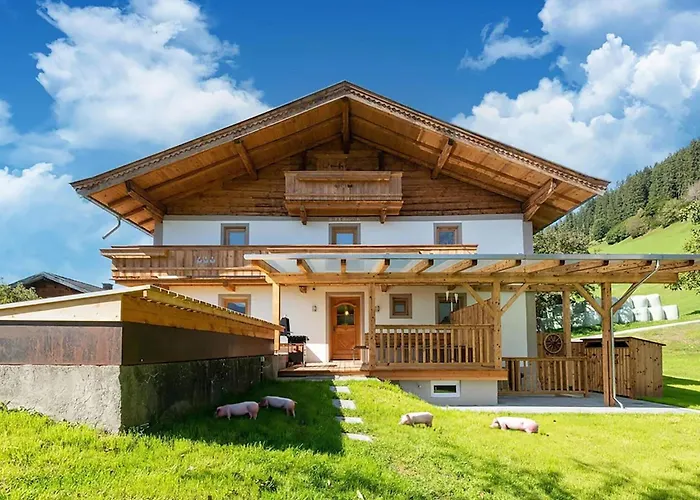 In Wildkogel Near Slopes * Dorf (Salzburg)